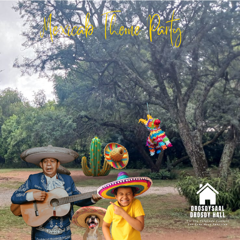 Theme Parties
